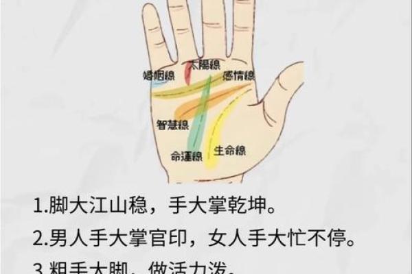 2015年何命纳音分析:探寻命运背后的秘密与智慧 2015年何命纳音分析:探寻命运背后的秘密与智慧