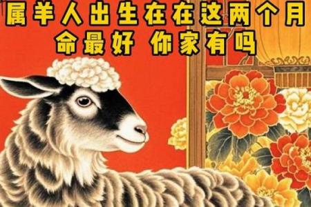 1967年属羊：命运与性格的完美结合