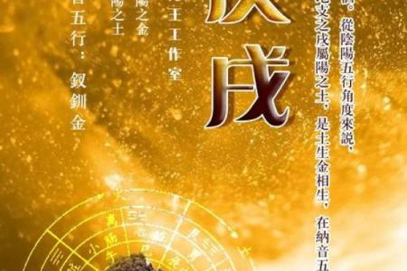 生日是28号的人生轨迹与命运解析