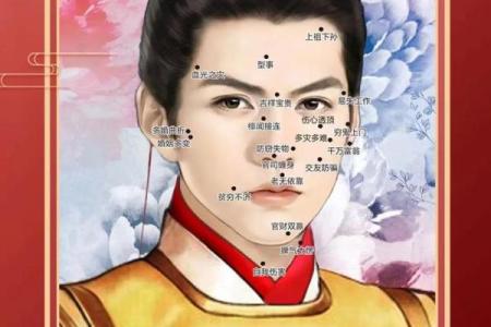 探寻龙虎面相：解密女性命运的隐秘符号