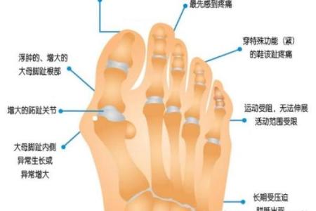 揭秘大脚拇指宽大的命运与性格特征，深度解析你的人生密码！