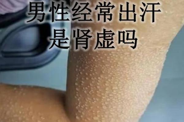 揭秘:为何男人的鼻子总是出汗?了解背后的命理解读与生活习惯! 揭秘:为何男人的鼻子总是出汗?了解背后的命理解读与生活习惯!