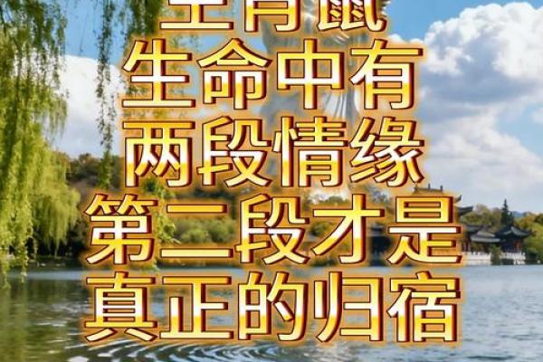 1997年属鼠人命运解读：挑战与机遇并存的精彩人生