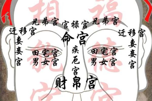 脸上的胎记：命运的印记与象征解析