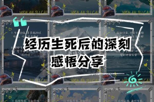 伤了命：领悟生命的脆弱与珍贵