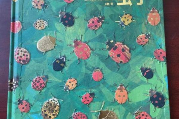 2002年出生的孩子，命运与色彩的奇妙之旅！