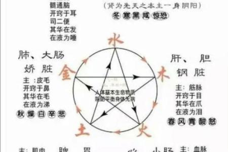 火命与水命：相生相克的爱情关系探讨