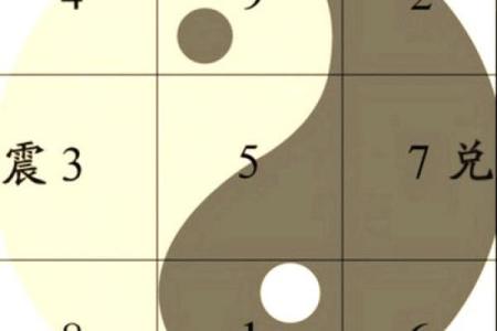 探索命理数字的奥秘：揭示人生与命运的神秘联系