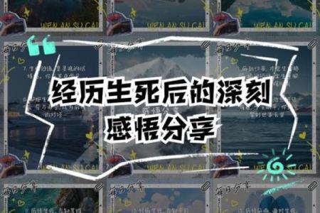 伤了命：领悟生命的脆弱与珍贵