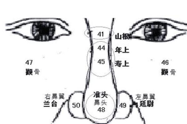 眉毛靠近鼻子，命中注定的独特人生轨迹