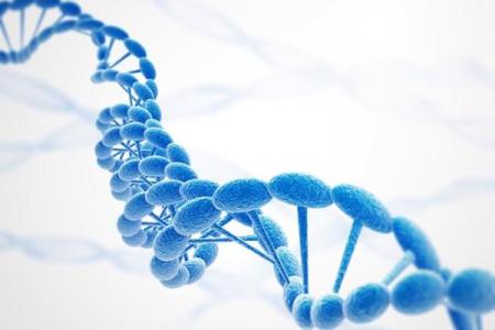 法身慧命：探索生命奥秘与死亡真相的哲学之旅