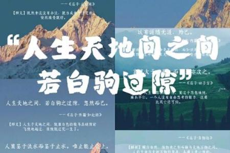 农历66.12初5：探寻命理背后的深刻智慧与人生哲学