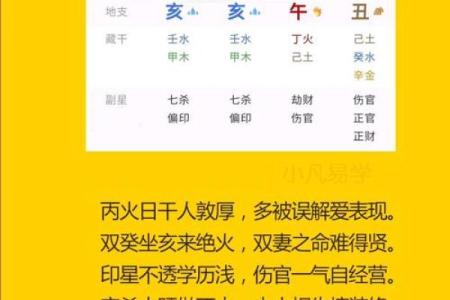 丙寅炉中火：探寻命理中的热情与生命力