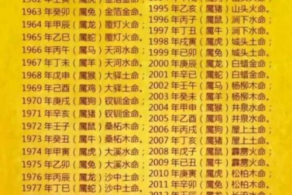 2018年出生的狗狗命运解析：探秘它们的性格与运势