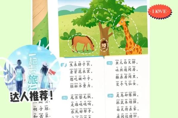 2024年生宝宝的命理解析：给你的小天使最好的未来！