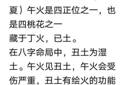 揭开农村道士命的神秘面纱：特征与意义探讨