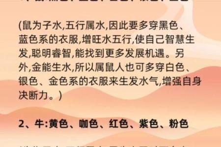 金命挂表解析：哪些颜色能让你的生活更加顺利？