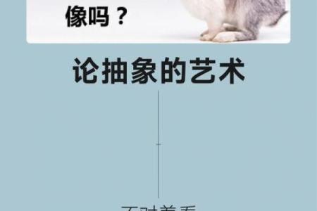 1987年男兔：命运与个性的深刻探讨