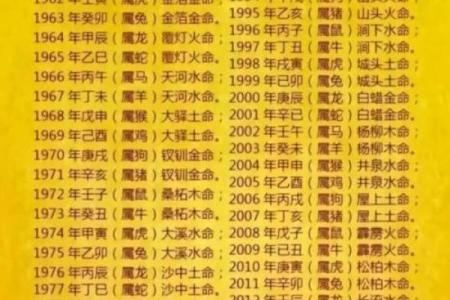 2018年出生的狗狗命运解析：探秘它们的性格与运势