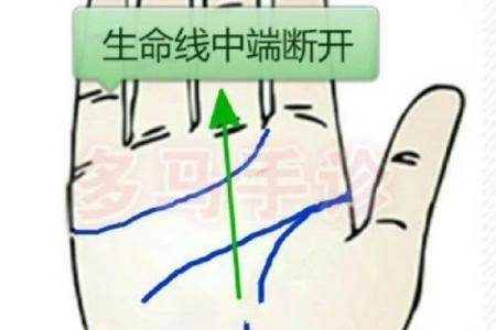 掌纹解析：如何通过手相改变你的命格