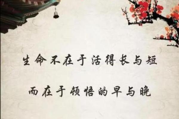 金钗命里缺什么？探索命理与人生之道的奥秘