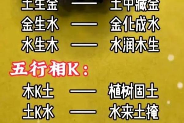 木命人适合学习的技术与发展方向探讨