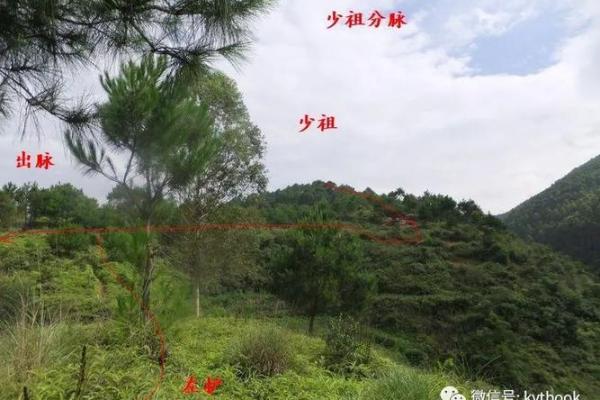 亡人坐山向命理探秘：如何通过山向识别命主特质与福祉