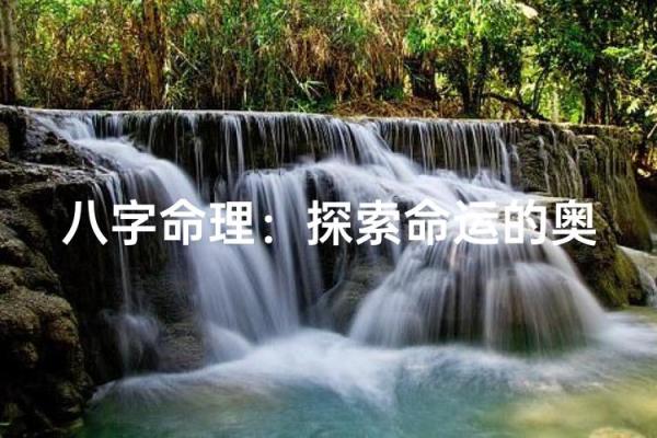 2019年是什么命？深入探索命运背后的秘密与机遇