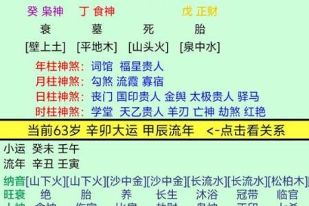 探寻命理奥秘：庚子丁亥丙子戊戌四大命格解析