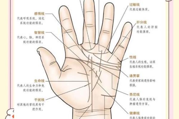 手上凸起的人是什么命：揭秘掌纹中隐藏的命运密码