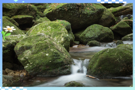 冬月水龙命的特质与缺失：探索命理的奥秘与补救之道