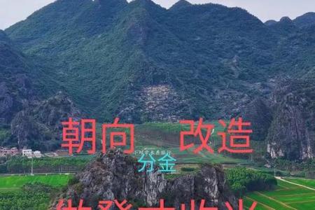 平地木命何以迎好，探寻适合的人生选择与发展方向