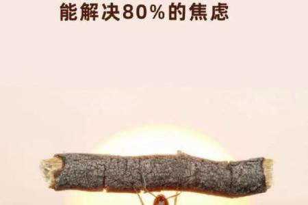 旺土命的行业选择：提升你的能量与机会