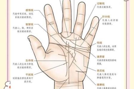 手上凸起的人是什么命：揭秘掌纹中隐藏的命运密码