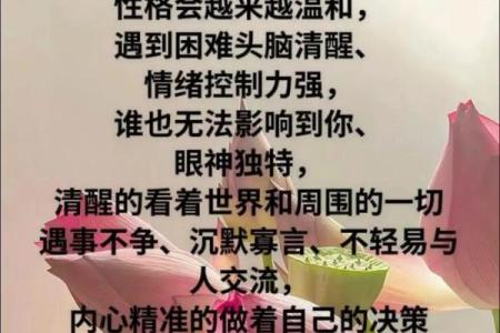 命心平静：探索内心的安宁与自我价值之旅