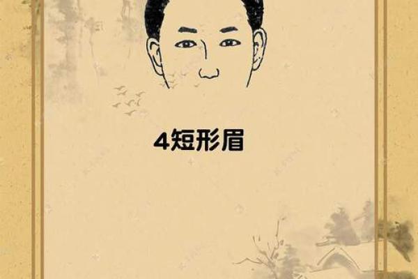 半节眉的人命运揭秘：命理学告诉你事业与爱情的走向