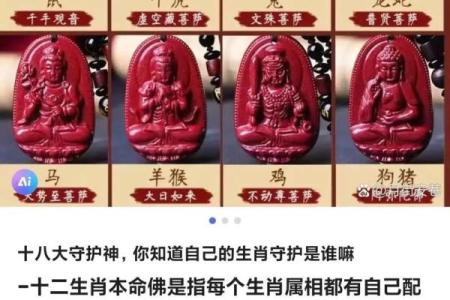 命里缺什么属相，如何选择合适伴侣的智慧之道