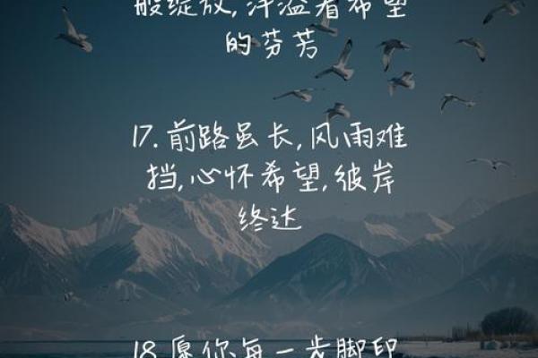 女人到底拼的什么命:心灵的坚持与生活的奋斗 女人到底拼的什么命:心灵的坚持与生活的奋斗