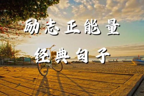 君命如天，追寻梦想的勇气与坚持