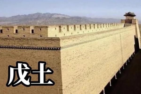 土命人适合的图形与生活方式探究