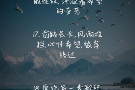 女人到底拼的什么命：心灵的坚持与生活的奋斗