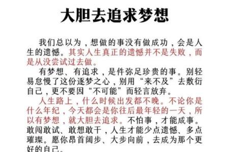 君命如天，追寻梦想的勇气与坚持