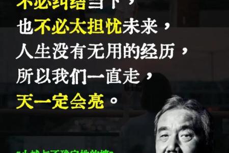 在松树下扎根的命运：揭秘生命的深层意义