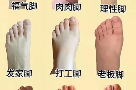你的命运从脚趾看，长短与性格的秘密！