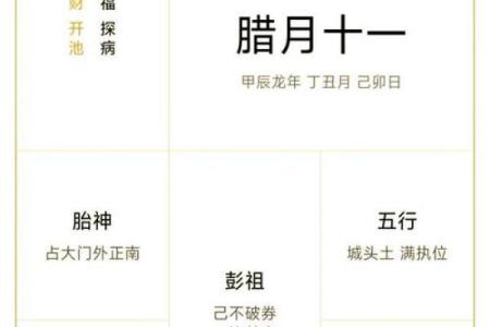 2006年腊月生人的命运解析，揭示他们的性格与人生轨迹！