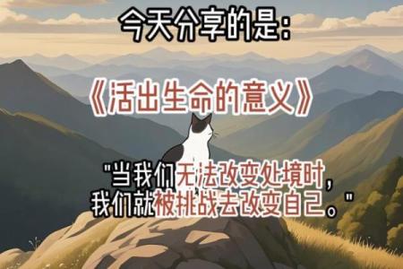探索生命意义与流逝：解读《命去也》的深刻寓意