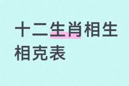 解密12属相女性命运：每个生肖背后的秘密与智慧