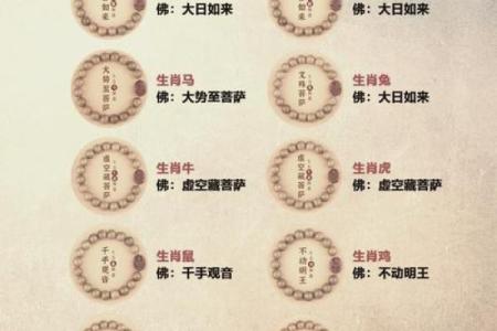 木命之人的禁忌颜色与生活指南