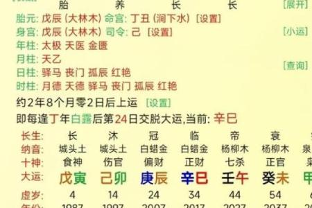 从命理角度看如何判断今年是什么命——让你轻松掌握命运的奥秘