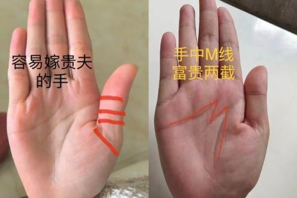 探索你手相中的命运密码，揭示生活中的无限可能性
